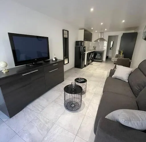 Grand Studio Au Rdc Dans Residence, Clim, Terrasse