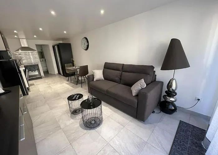 Grand Studio Au Rdc Dans Residence, Clim, Terrasse